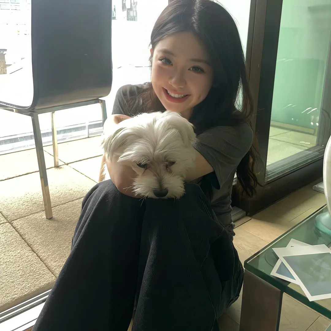 甜梦猫：美梦成真！